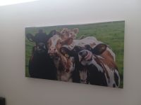 Bild "Glückliche Kühe" Leinwand 160 x 90 cm Hannover - Bothfeld-Vahrenheide Vorschau