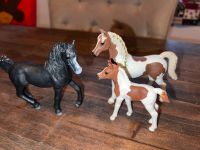 Schleich Araber 72134 Pferde Familie Pinto Stute Fohlen  +Zubehör Bayern - Obermichelbach Vorschau