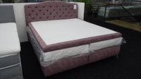 Patrizia Bett 180x200 Rosa Boxspringbett möbel outlet Hütte Niedersachsen - Georgsmarienhütte Vorschau