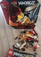 Lego Ninjago 71730 Baden-Württemberg - Rangendingen Vorschau