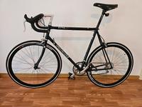 Seltenes Specialized Rennrad – Carbonrahmen, Top Zustand, RG M 54 Brandenburg - Schwedt (Oder) Vorschau