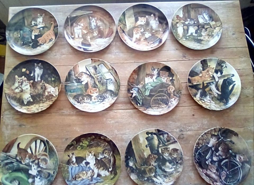 13 Wandteller von Seltmann Weiden Abenteuer auf Samtpfoten in Waldshut-Tiengen