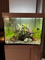 Verkaufe hochwertiges Aquarium mit Unterschrank und Zubehör(150L) Nordrhein-Westfalen - Solingen Vorschau