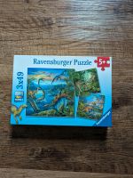 Ravensburger Puzzle Dino Dinosaurier 3 x 49 Teile ab 5 Jahre Brandenburg - Cottbus Vorschau