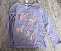 Langarmshirt lila Einhorn 122 Hessen - Stockstadt Vorschau