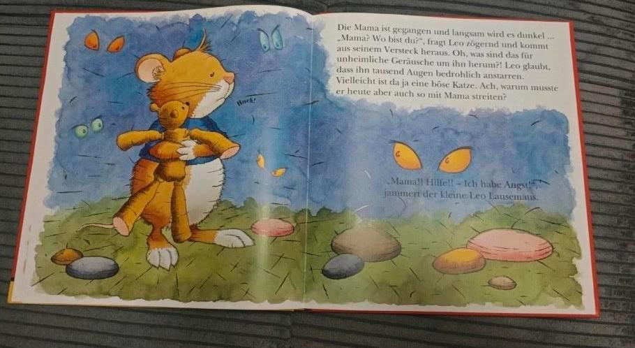 Lingoli Leo Lausemaus hat schlechte Laune Buch Kinderbuch in Wiesbaden