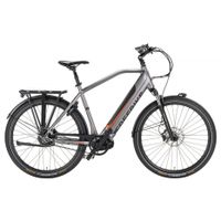 E-Bike der Marke Freebike Neuenhaus - Grasdorf Vorschau