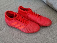 Adidas Fußballschuhe Größe 37 1/3 Nordrhein-Westfalen - Siegburg Vorschau