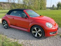 Volkswagen Beetle 1.4 TSI BMT CLUB Cabriolet CLUB Bayern - Wiedergeltingen Vorschau