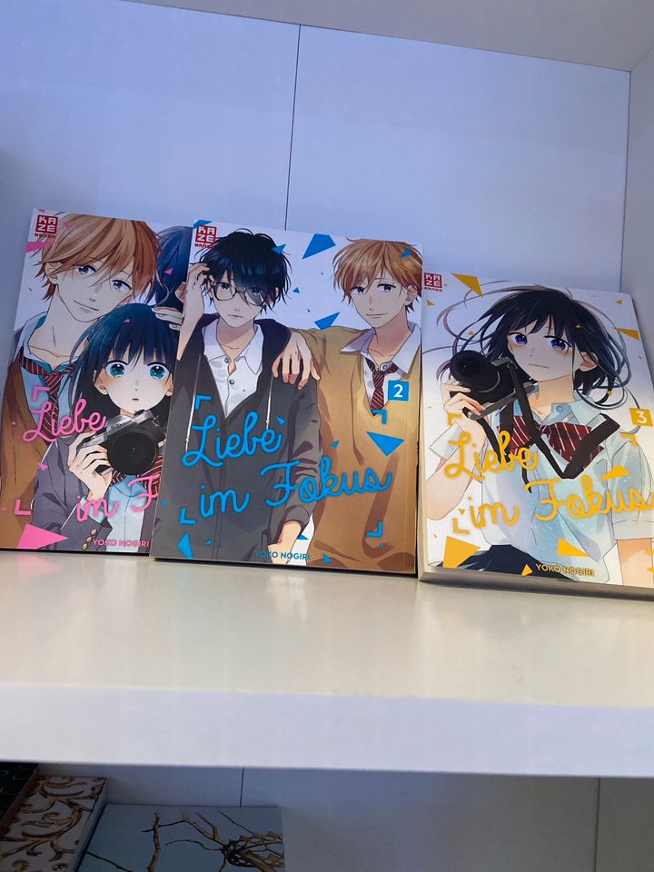Liebe im Fokus 1-3 Manga in Bad Pyrmont