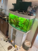 180l Aquarium komplett mit viel zubehör Bayern - Euerbach Vorschau