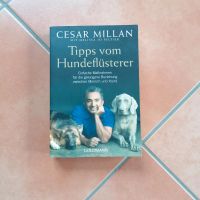 "Tipps vom Hubdeflüsterer" Cesar Millan Buch Hessen - Rödermark Vorschau