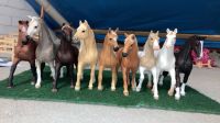 Schleich Pferde Kreis Pinneberg - Quickborn Vorschau