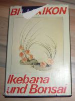 Ikebana und Bonsai Dekoration Basteln Handarbeit Pflanzen Blüten Brandenburg - Bad Belzig Vorschau