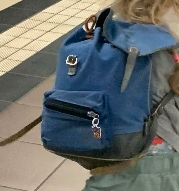 Blauer Kinderrucksack verloren in Lüneburg