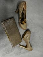 Tasche mit passenden Schuhen Hessen - Borken Vorschau