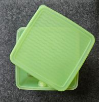 TUPPERWARE Prima Klima Box 1 Liter Hessen - Rüsselsheim Vorschau