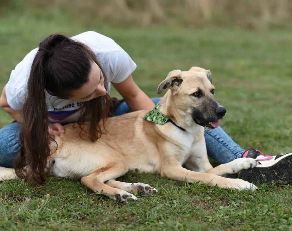 Alle Augen auf den süßen Max, er sucht sein Körbchen in Lingen (Ems)