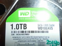 1 TB HDD Marke WD,Seagate,Hitachi u.s.w Buchholz-Kleefeld - Hannover Groß Buchholz Vorschau