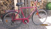 Fahrrad  28 zoll Kettler Alurad  Paramount 21 gang Nabendynamo... Baden-Württemberg - Oftersheim Vorschau