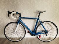 Rennrad Focus Cayo Carbon RH56 Frankfurt am Main - Bonames Vorschau