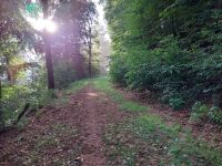 Suche Wald für Exkursionen (Pilze, Natur, Pädagogik) Rheinland-Pfalz - Burrweiler Vorschau