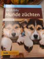 Hunde züchten  Hundebuch Bergedorf - Hamburg Lohbrügge Vorschau