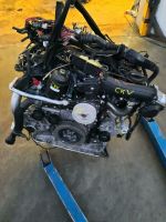 MOTOR CKV CDU CLA  60.TKM 3.0TDI AUDI VW Nordrhein-Westfalen - Schloß Holte-Stukenbrock Vorschau