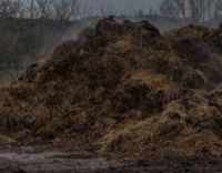 Pferdemist abzugeben Hessen - Melsungen Vorschau