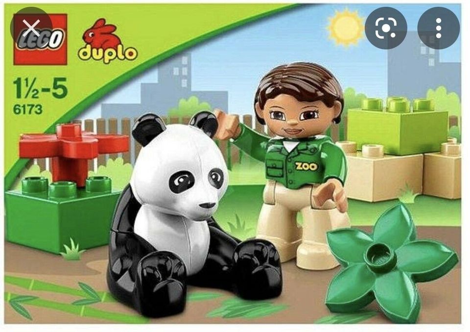 Lego duplo 6173 sale