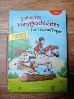 5 Minuten Ponygeschichten für Leseanfänger Sachsen - Oberlungwitz Vorschau