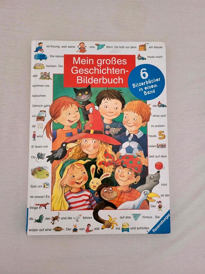 Ravensburger Mein großes Geschichten Bilderbuch in Wathlingen