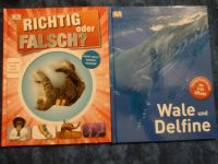 Wissensbücher Baden-Württemberg - Willstätt Vorschau