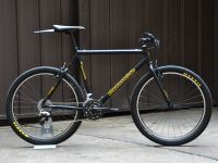 Cannondale M900 CAD3 + P-Bone (1997) 3x9 Neuaufbau - 26" RH 53 München - Ludwigsvorstadt-Isarvorstadt Vorschau