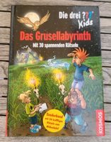 Die drei ??? Kids Das Grusellabyrinth mit 30 spannenden Rätseln Bayern - Eching (Niederbay) Vorschau