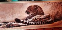 Bild "Ruhender Gepard"  103 x 37 cm, ausdrucksstark Nordrhein-Westfalen - Remscheid Vorschau