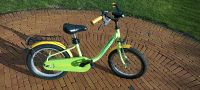 Kinderfahrrad 16 Zoll Niedersachsen - Bunde Vorschau