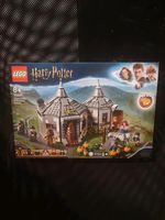 LEGO Harry Potter 75947 Hagrids Hütte Nordrhein-Westfalen - Dinslaken Vorschau