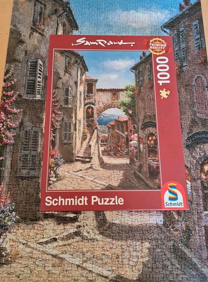 Schmidt Puzzle 1000 Teile vom Künstler Sam Park in Moers