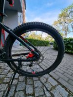 Mountainbike Summer ohne Fahrrad macht kein Spaß Sachsen-Anhalt - Merseburg Vorschau