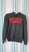 Levi's Kapuzenpullover Hoodie Sweatshirt grau Größe M Levis Damen Rheinland-Pfalz - Wörrstadt Vorschau