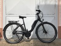 FALTER E 9.0 Wave E-Bike Bosch  500Wh 50Nm  50+55 cm UVP3150,- Nordrhein-Westfalen - Lohmar Vorschau