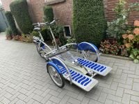 Van Raam VeloPlus Rollsthulfahrrad Original Elektro wie NEU Rheinland-Pfalz - Werkhausen Vorschau