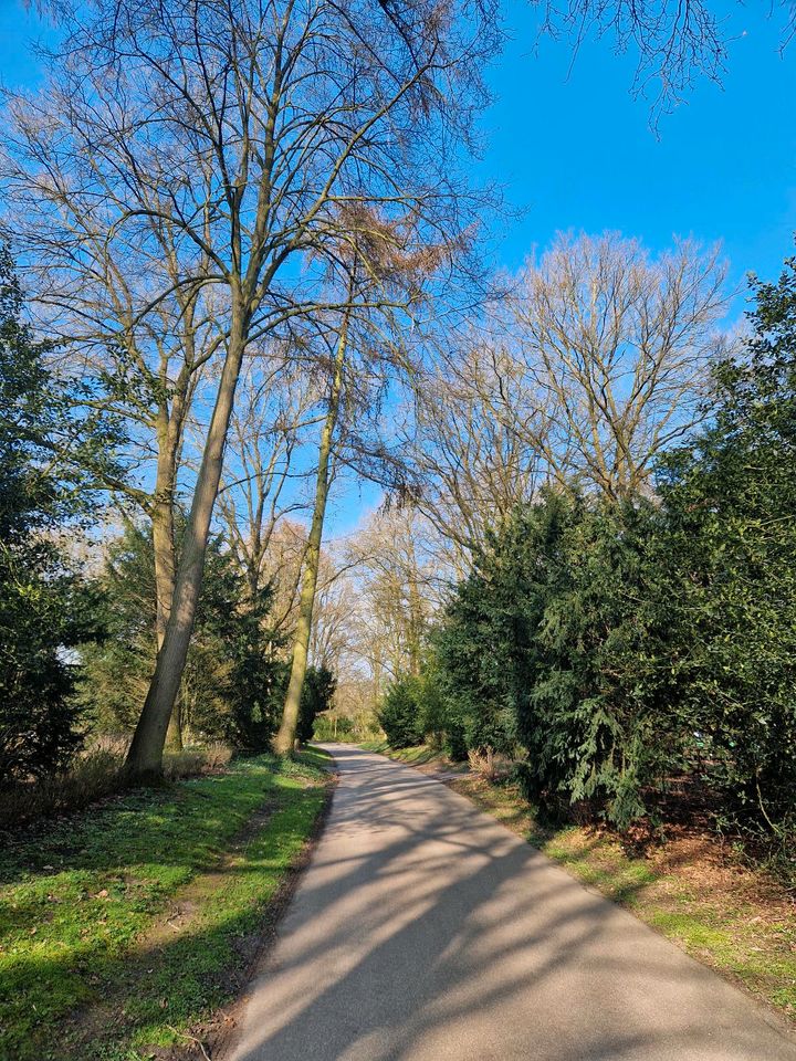 Gemeinsame Fahrradtouren Spaziergänge Natur in Bremen