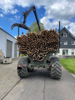 Zaunpfähle gespitzt Nordrhein-Westfalen - Hückeswagen Vorschau