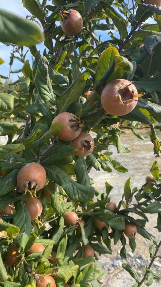 Suchen Schrebergarten o. Freizeitgrundstück in Moosburg in Erding