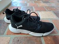 Puma Turnschuhe Gr 42 Sportschuh Niedersachsen - Nienburg (Weser) Vorschau