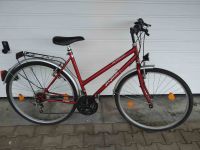 Damenfahrrad 28 Zoll Bayern - Hutthurm Vorschau