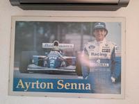 Ayrton Senna Bild gerahmt *40€ letzter Preis* Hessen - Birkenau Vorschau