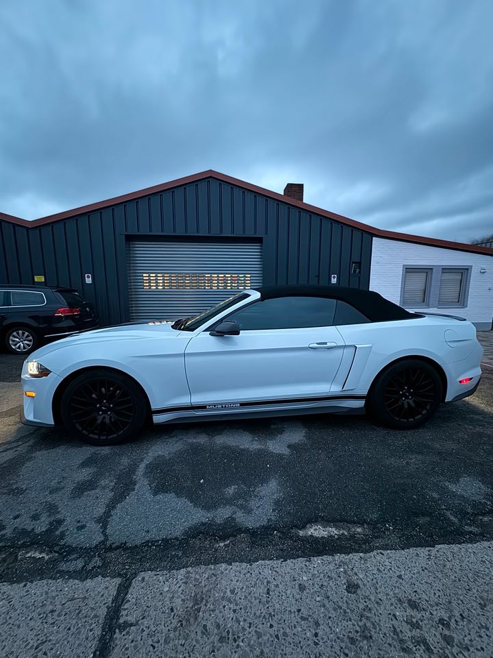 Ford Mustang GT Optik 2.3 Eco Boost Cabrio in Stuhr